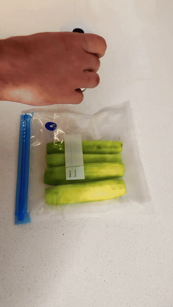 Quick Seal Food Saver